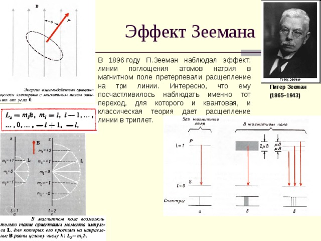  Эффект Зеемана В 1896 году П.Зееман наблюдал эффект: линии поглощения атомов натрия в магнитном поле претерпевали расщепление на три линии. Интересно, что ему посчастливилось наблюдать именно тот переход, для которого и квантовая, и классическая теория дает расщепление линии в триплет. Питер Зееман (1865–1943)  