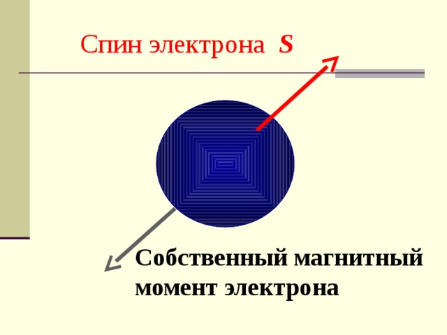 Спин электрона S Собственный магнитный момент электрона 