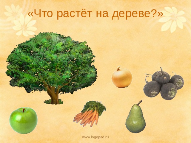 «Что растёт на дереве?» www.logoped.ru 