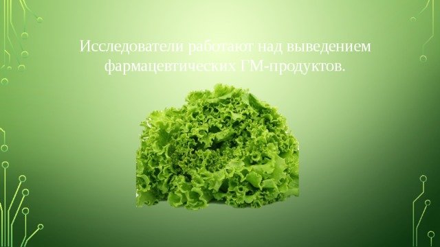 Исследователи работают над выведением фармацевтических ГМ-продуктов. 