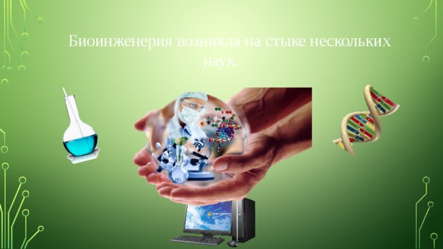  Биоинженерия возникла на стыке нескольких наук. 