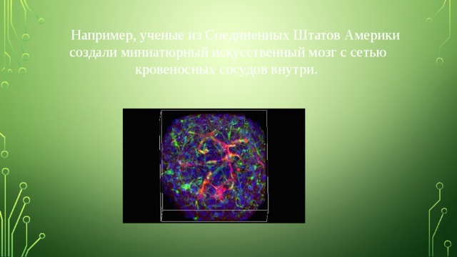  Например, ученые из Соединенных Штатов Америки создали миниатюрный искусственный мозг с сетью кровеносных сосудов внутри. 