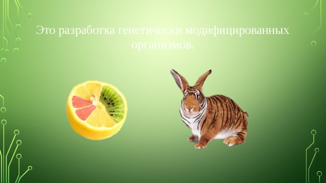 Это разработка генетически модифицированных организмов. 