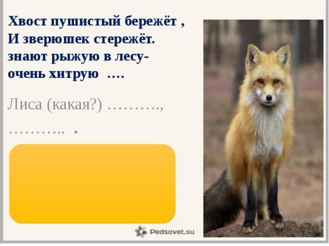 Хвост лисицы текст. Лиса какая. Лиса прилагательное. Лиса какая прилагательные для детей. Какой признак у лисицы.