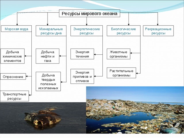 Минеральные ресурсы схема