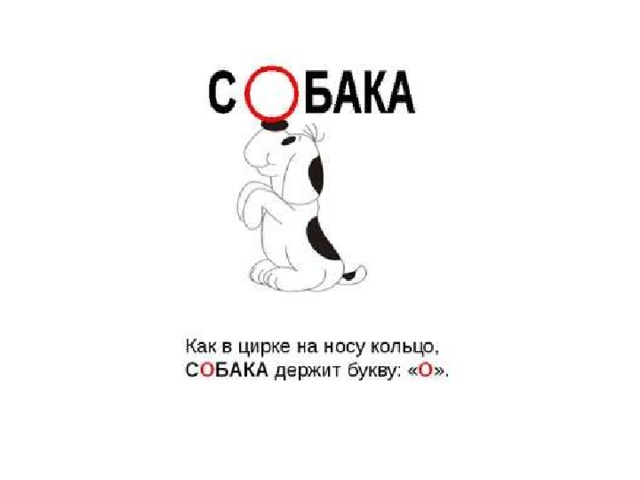 Картинка слова собака