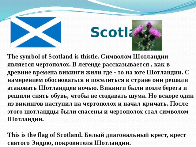 What plant is the symbol of scotland. Что является символом Шотландии по английскому языку. Покровитель Шотландии на английском языке. Какое расстояние является символом Шотландии. Какое растение является символом Шотландии и почему ответ.