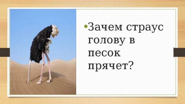 Надо ли надо ли это прячется. Зачем страус прячет голову в песок. Страус голову в песок. Страус голова в песок зачем. Почему страус прячет голову.