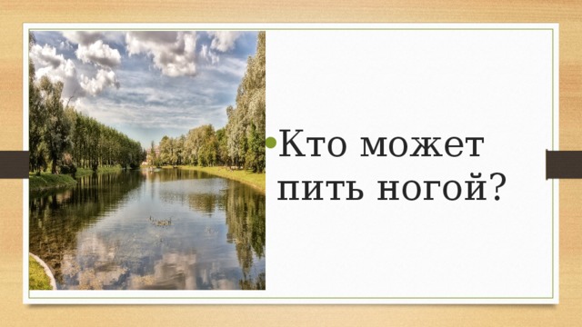 Кто может пить ногой? 