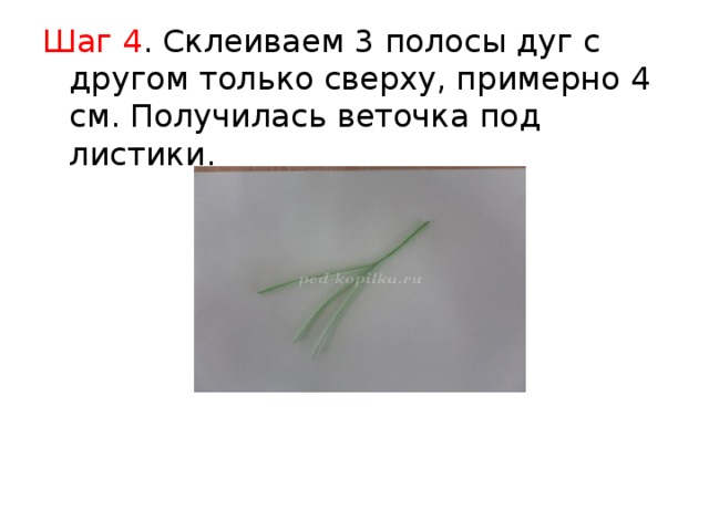 Шаг 4 . Склеиваем 3 полосы дуг с другом только сверху, примерно 4 см. Получилась веточка под листики. 