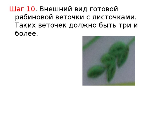 Шаг 10 . Внешний вид готовой рябиновой веточки с листочками. Таких веточек должно быть три и более. 