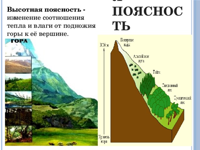 Высотная поясность Высотная поясность - изменение соотношения тепла и влаги от подножия горы к её вершине.  