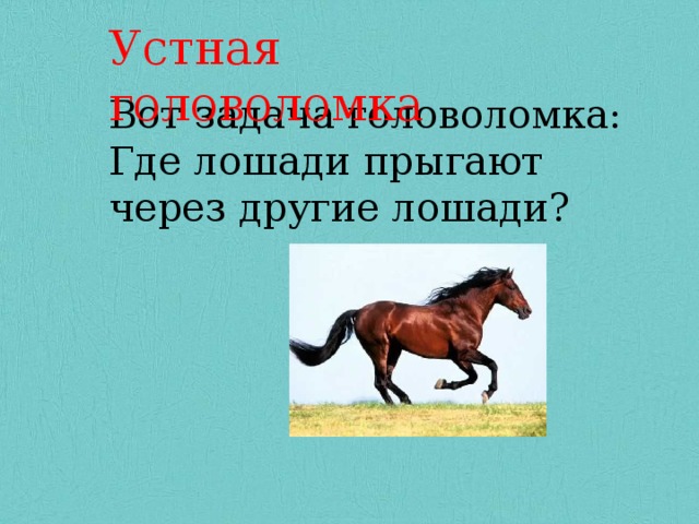 Устная головоломка Вот задача головоломка: Где лошади прыгают через другие лошади? Вот задача головоломка: Где лошади прыгают через лошади. 