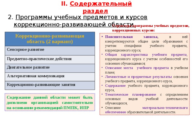 Проект коррекционно развивающей программы