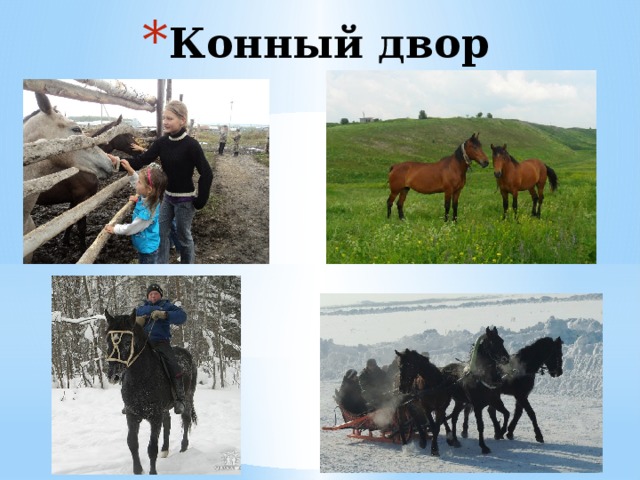 Конный двор 