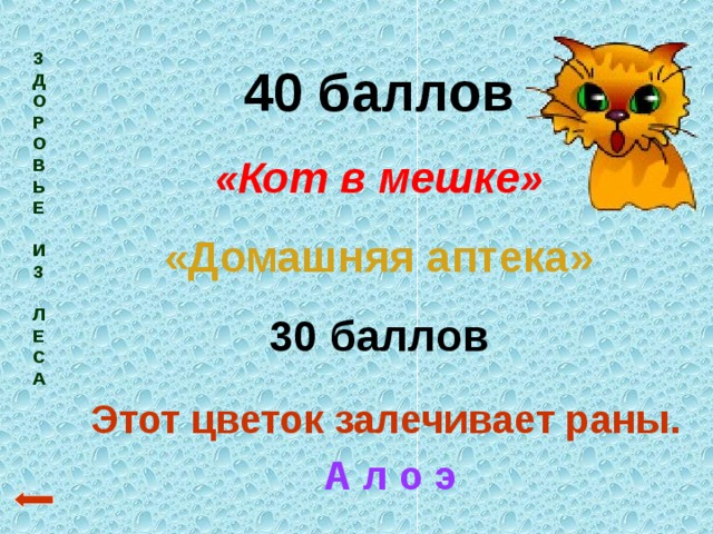 З  Д  О  Р  О  В  Ь  Е   И  З   Л  Е  С  А  40 баллов «Кот в мешке» «Домашняя аптека» 30 баллов Этот цветок залечивает раны. А л о э 