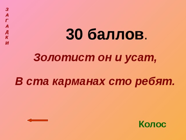 З  А  Г  А  Д  К  И   30 баллов . Золотист он и усат, В ста карманах сто ребят.   Колос 