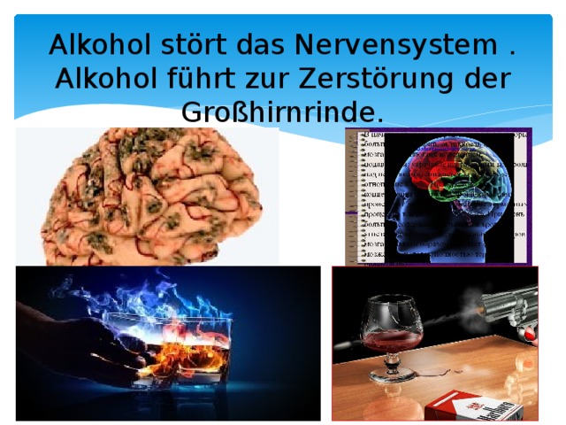  Alkohol stört das Nervensystem .  Alkohol führt zur Zerstörung der Großhirnrinde. 