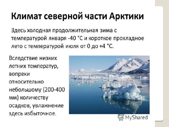 Презентация по географии 7 класс арктика - 98 фото