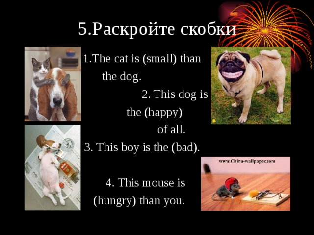 5.Раскройте скобки  1.The cat is (small) than  the dog.  2. This dog is  the (happy)  of all.  3. This boy is the (bad).  4. This mouse is  (hungry) than you. 