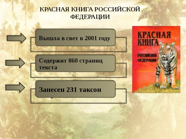 КРАСНАЯ КНИГА РОССИЙСКОЙ ФЕДЕРАЦИИ Вышла в свет в 2001 году Содержит 860 страниц текста Занесен 231 таксон 