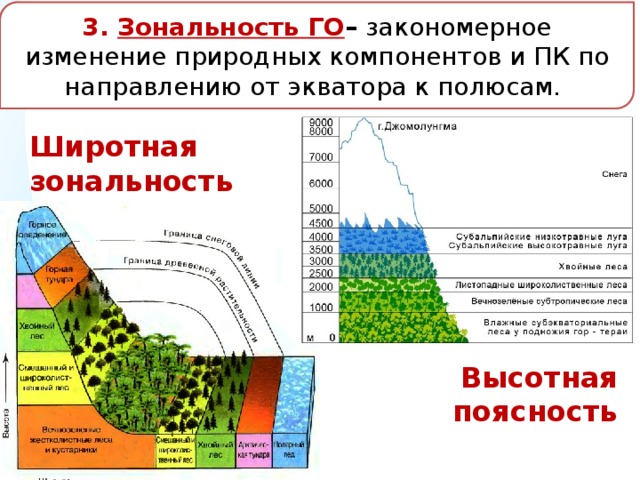 Природная зона имеет более разнообразный состав. Высотная поясность географической оболочки. Широтная зональность география 8 класс. Широтная зональность географической оболочки. Высотная поясность это в географии в России.