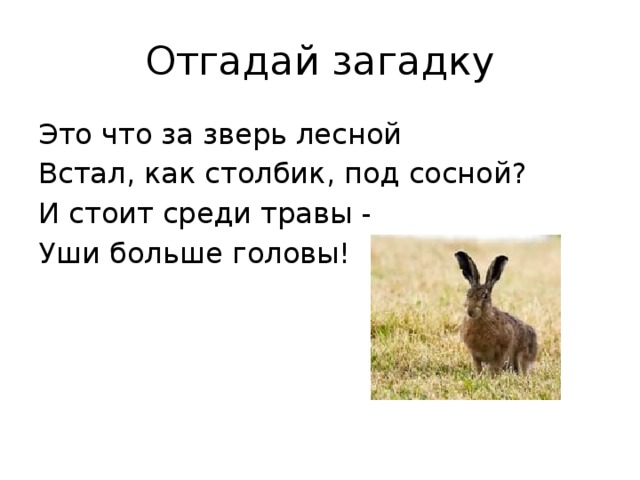 В орлов большие уши 1 класс презентация школа 21 века