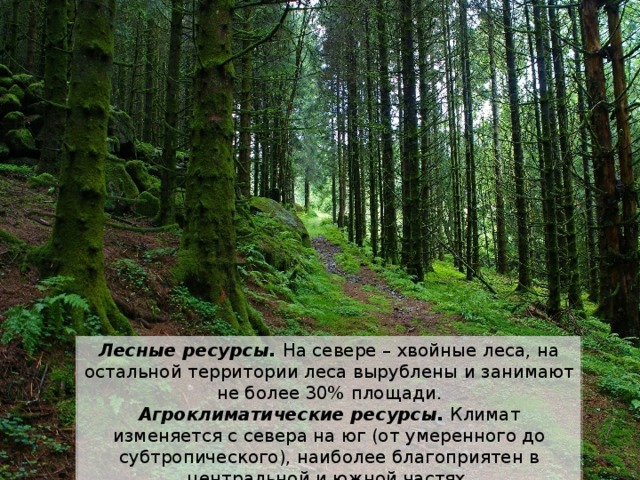 Лесные ресурсы. На севере – хвойные леса, на остальной территории леса вырублены и занимают не более 30% площади. Агроклиматические ресурсы. Климат изменяется с севера на юг (от умеренного до субтропического), наиболее благоприятен в центральной и южной частях. 