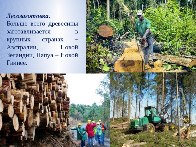 Лесозаготовка.  Больше всего древесины заготавливается в крупных странах – Австралии, Новой Зеландии, Папуа – Новой Гвинее. 