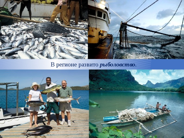 В регионе развито рыболовство . 