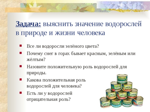 Задача: выяснить значение водорослей в природе и жизни человека Все ли водоросли зелёного цвета? Почему снег в горах бывает красным, зелёным или жёлтым? Назовите положительную роль водорослей для природы. Какова положительная роль водорослей для человека? Есть ли у водорослей отрицательная роль? 
