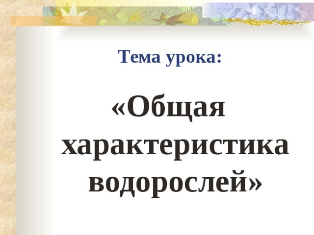 Тема урока: «Общая характеристика водорослей»  