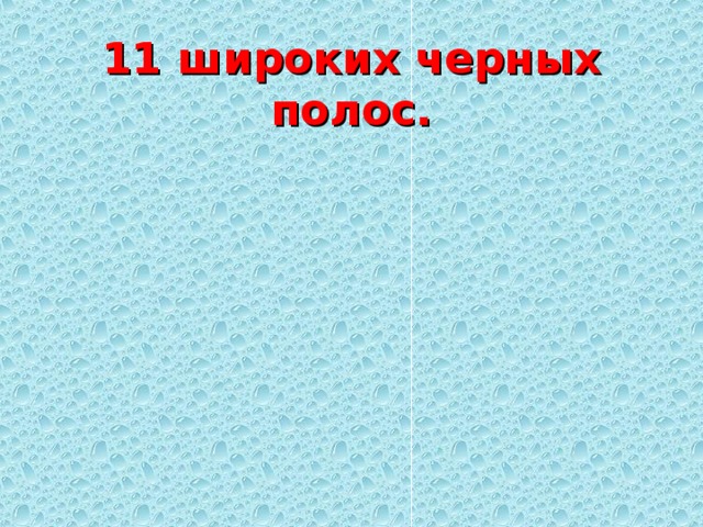 11 широких черных полос. 