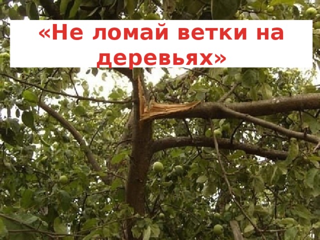https://fsd.multiurok.ru/html/2019/04/29/s_5cc705ed852a0/img10.jpg