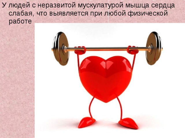 У людей с неразвитой мускулатурой мышца сердца слабая, что выявляется при любой физической работе 