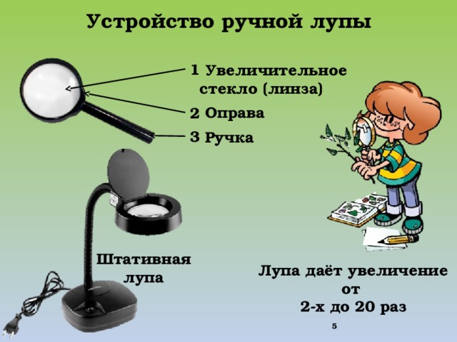 Лупа дает увеличение. Увеличительные приборы 6 класс биология. Устройство увеличительных приборов лупа. Ручная лупа по биологии. Презентация на тему лупа.