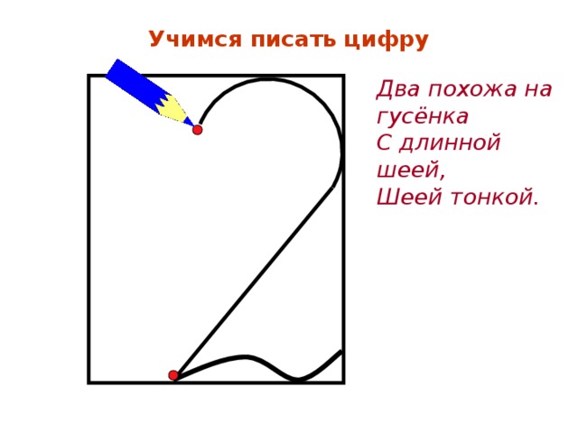 Учимся писать цифру Два похожа на гусёнка С длинной шеей, Шеей тонкой. 