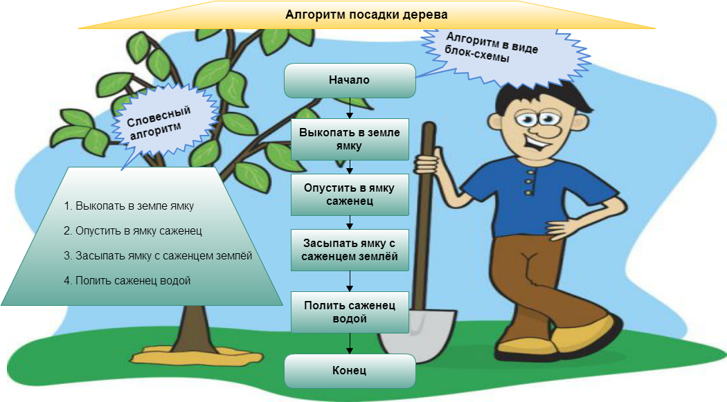 Алгоритмы в жизни человека проект по информатике