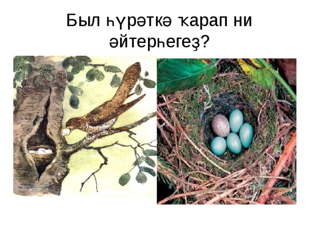 Был һүрәткә ҡарап ни әйтерһегеҙ? 