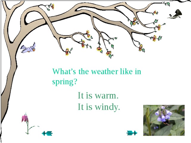 It warm now. Spring is warm. It is in Spring. What is the weather like in Spring. In Spring или in the Spring.