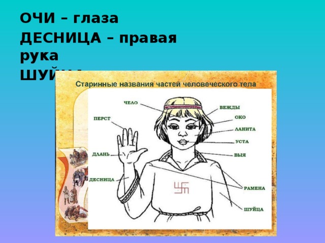 Как называется и правой и левой. Десница правая рука. Левая рука устаревшее слово. Левая рука шуйца. Что такое десница в устаревших словах.