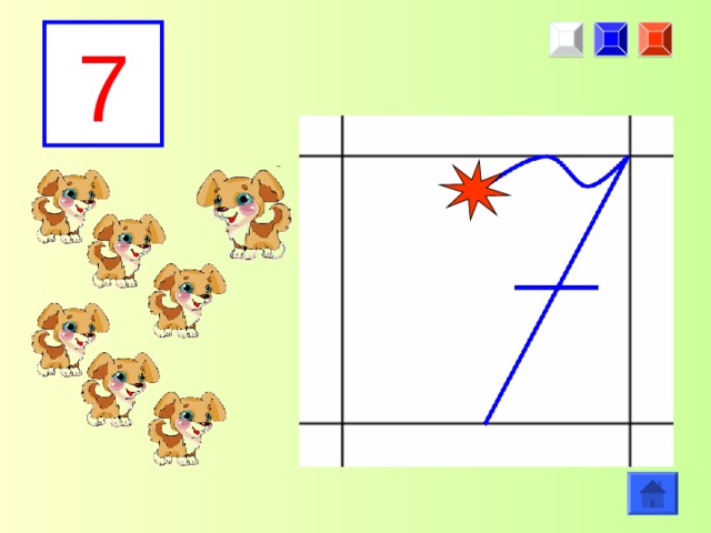 7 
