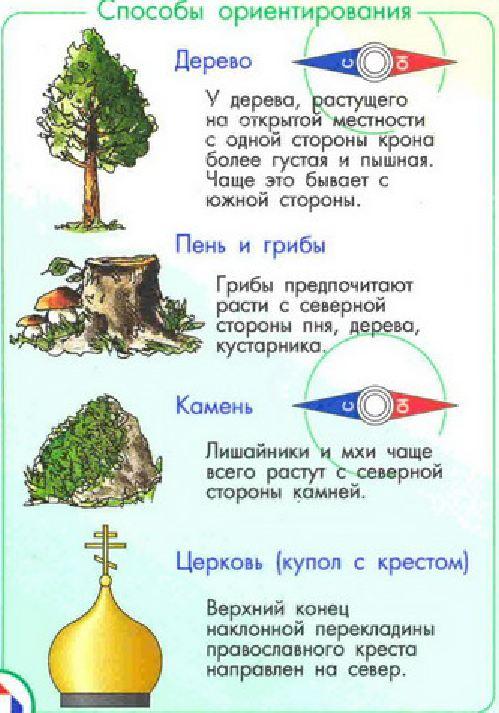 Презентация 2 класс ориентирование на местности школа россии