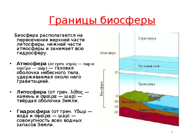 Границы биосферы в атмосфере определяются. Биосфера границы биосферы среды. Структура оболочки биосферы. Атмосфера литосфера гидросфера Биосфера Тропосфера стратосфера. Строение биосферы земли.