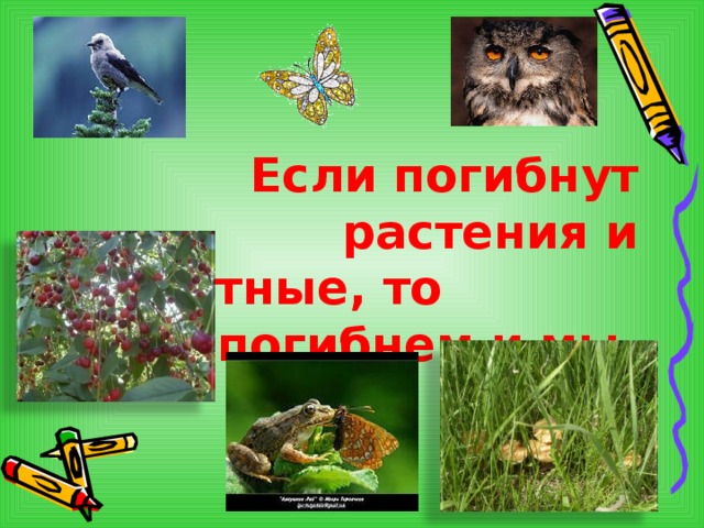 Если погибнут растения и животные, то погибнем и мы.   