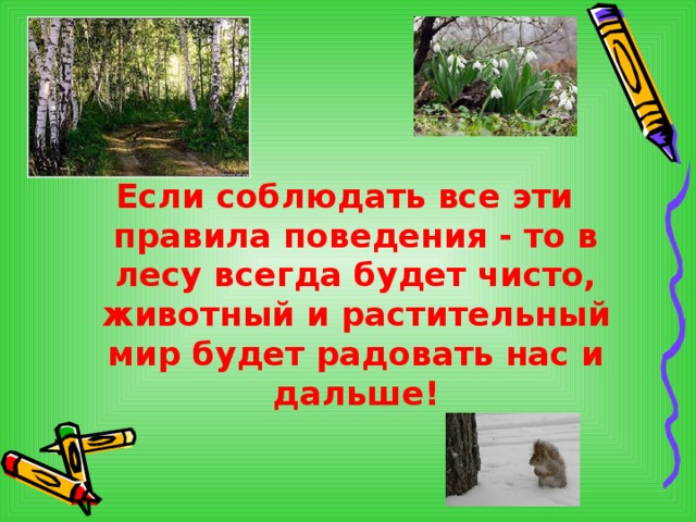  Если соблюдать все эти правила поведения - то в лесу всегда будет чисто, животный и растительный мир будет радовать нас и дальше!  