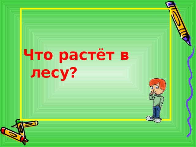   Что растёт в лесу?       