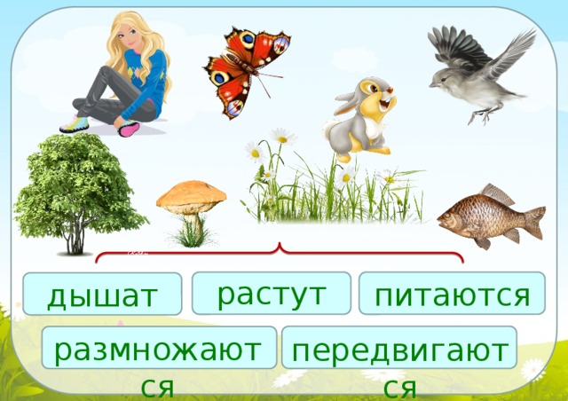 Питаются растут. Природа Живая растут питаются и неживая. Живое неживое растёт размножение. Задание Живая и неживая природа питается растет задание. Растёт, дышит, питается картинка символ.