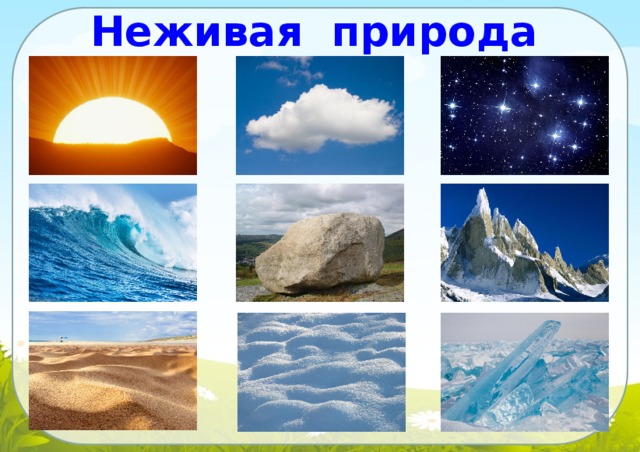 Живая презентация в powerpoint