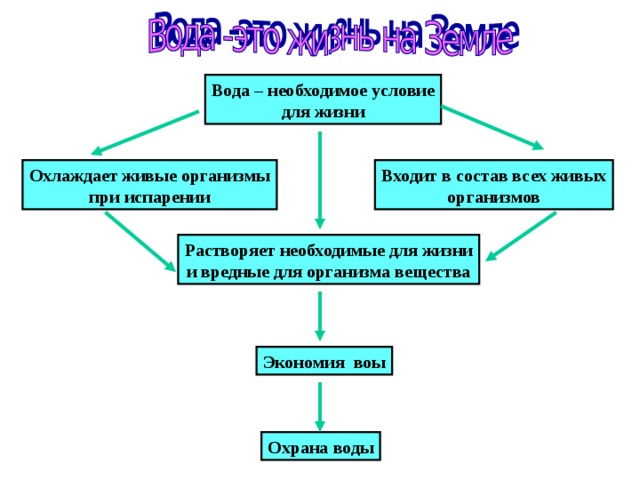 Какие условия необходимы. Условия необходимые для живых организмов. Условия необходимые для жизни на земле. Условия жизни организмов.